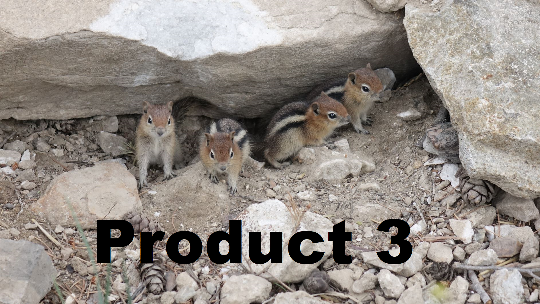 A placeholder image of the product